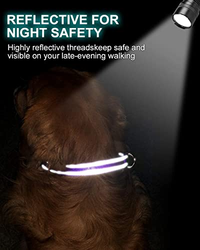 TagME Personalizado Nylon Collares para Perros, Ajustable Reflectante Collar Perro con Acolchados, Etiqueta de Acero Inoxidable Nombre Grabado y Número de Teléfono, Rojo