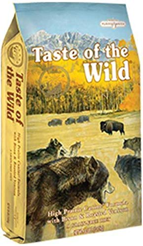 Taste of the Wild Canine High Prairie Bisonte - 13000 gr