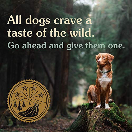 Taste of the Wild Canine High Prairie Bisonte - 6000 gr