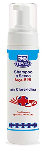 Tewua P51121 - Champú en seco de espuma Clorexidina Coadyuvante Infecciones 200 ml