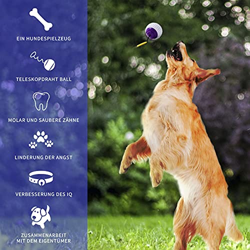 TFLLENGIOF Juguete para perros con función de cuidado dental, pelota indestructible, pelota de juguete interactiva, pelota de entrenamiento elástica con cuerda.