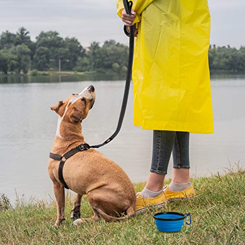 Toozey Correa de adiestramiento para perros de 5 m, 10 m y 15 m, con bolsa de almacenamiento y asa acolchada, material de polipropileno resistente, incluye comedero plegable
