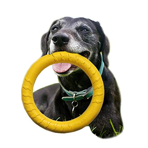 TOSSPER Perro Juguetes De Goma Fetch Disco De Vuelo De La Bola para Mascotas Entrenamiento con La Cuerda del Perrito De Juguete para Masticar para Aire Libre Interactivo