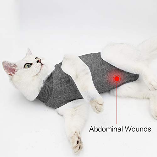 Traje de recuperación para gatos con anti lamida para heridas quirúrgicas abdominales Ropa para mascotas en casa blanda Cuello en E Alternativa para gatos Perros después de la cirugía Desgaste