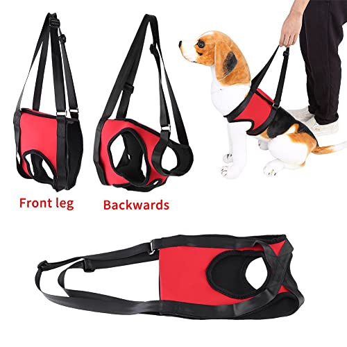 Tripopolis 1 Productos para el Cuidado y la Seguridad de Mascotas Perros Ancianos Ayuda para Caminar CinturóN de ProteccióN Chaleco para Tirar Perro Viejo Herido (Pata Trasera-L)