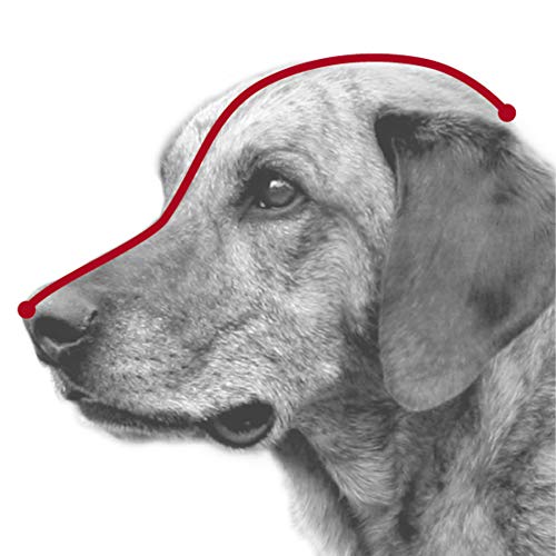 Trixie - Bozal para perro de cuero modelo Julius-K9.