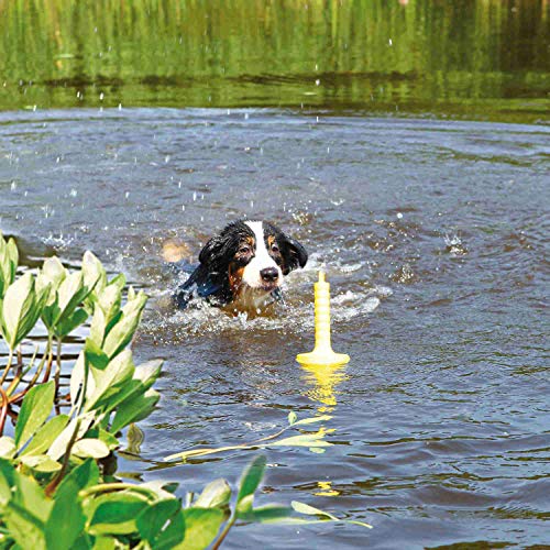 Trixie Dog Activity Poliuretano, Mot-Aqua, 29 cm, Perro