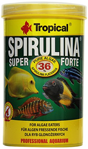 Tropical Super Spirulina Forte (36%) - Pienso en Copos (1 x 1 l)