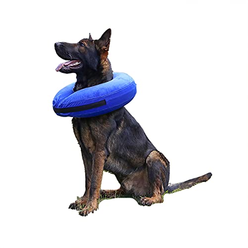 TT.WALK Collar de recuperación Inflable para Perros,Collar Protector Inflable para Perros y Gatos,Ajustable Collares y Conos de recuperación,XL,Azul