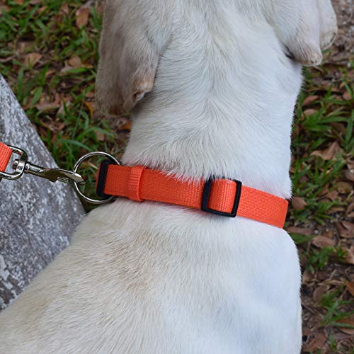 TXTKT Collar de perro simple y práctico, adecuado para perros grandes, medianos y pequeños (Tamaño del cuello: 32 cm - 48 cm), color negro