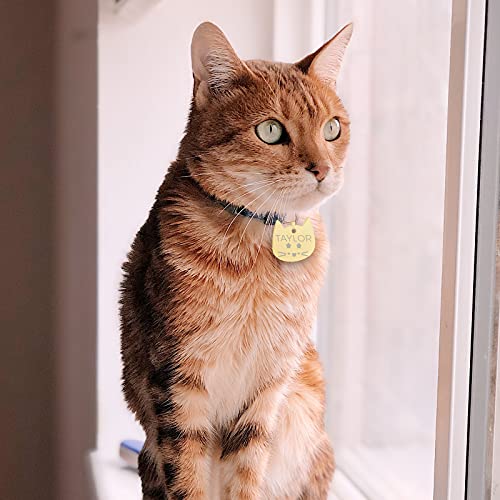 Uiopa Chapas para Gatos, Personalizado Etiquetas de Identificación de Acero Inoxidable para Gato Chapa Perro Grabada, Placa Perro Grabada para Collar Gato Perro Mascota (Plateado, Pequeño)
