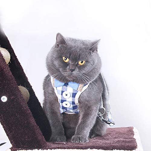 U/K Chaleco de malla para mascotas, chaleco de gato, bonito vestido de noche, a cuadros y cachorros con correa de pecho azul, M resistente y económico