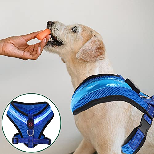 UKCOCO Chaleco de Perro con Luz LED Arnés de Perro Azul USB Recargable Arnés de Perro Cuello Mascotas Accesorio para Caminar para Perros Pequeños Medianos Grandes M