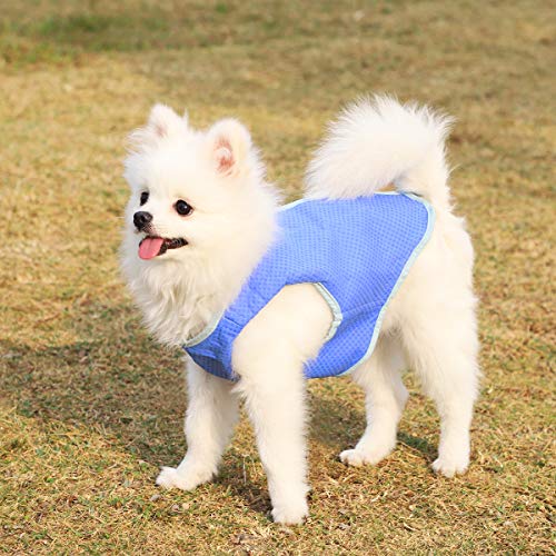 UKCOCO Chaleco de refrigeración para mascotas, arnés de refrigeración para perros, chaleco enfriador de mascotas con cinta mágica para cachorros perros - Talla L (azul)
