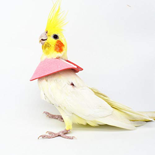 ULTECHNOVO Collar de Recuperación de Aves Collar de Loro Collar Protector para Mascotas Mini Círculo Elizabeth para Pájaros Animales Pequeños 4 Piezas