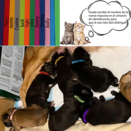 VEGCOO 20PCS Collar de Mascota, Collar de Identificación de Cachorro y Gatitos, Collar de Nacimiento de Cachorro y Gatito, Collar de Cachorro Ajustable Colores Surtidos (L-35cm)