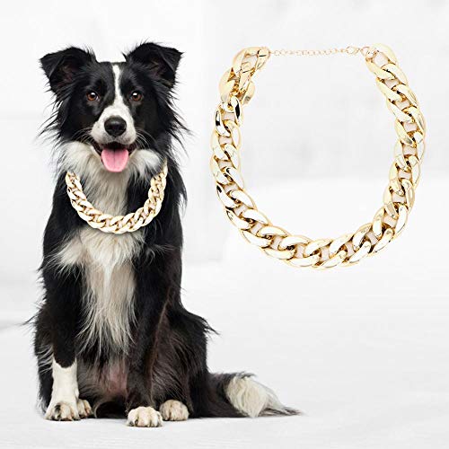 Venta Loca Choke Bulldog Francés Collar de Perro de plástico Dorado de Moda, Gargantilla de Perro, para Perro, Gato, Cachorro, Mascota(Golden)