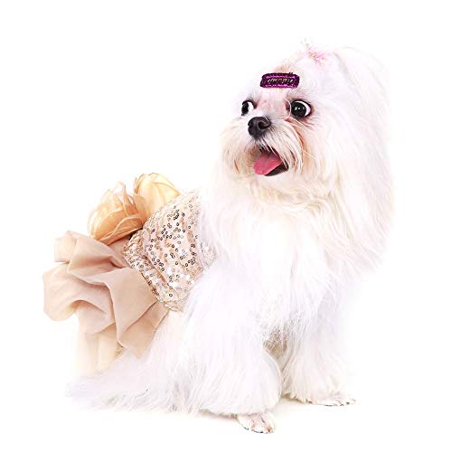 Vestido De Perro para Mascotas Ropa para Perros Pequeños Lentejuelas Tiquín Sedoso Disfraz De Perrito Princesa Elegante Falda Traje De Boda(XL-Beige)