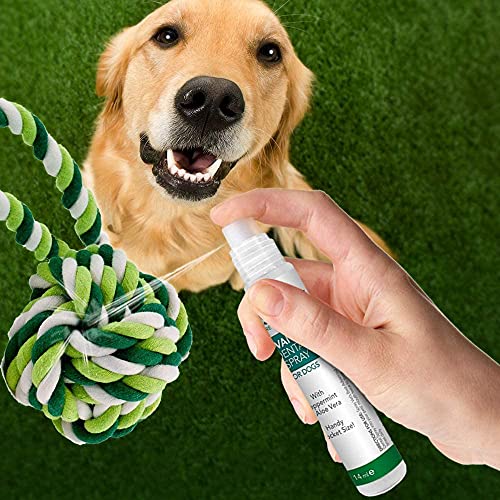 Vet's Best Spray dental de bolsillo natural para respiración fresca y dientes limpios para perros - 14ml