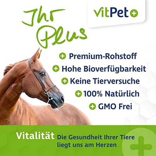 VitPet+ MSM Pferd – Polvo premium MSM para caballos en cubo de 1,8 kg con cuchara dosificadora (polvo de metilsulfonilmetano/azufre para caballos y perros)