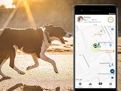 Vodafone Kippy EVO - Monitor de Actividad para Perros y Gatos, con rastreador GPS y Seguimiento de Las Actividades y del Estado de Salud, con Tarjeta SIM Inteligente incluida, Verde