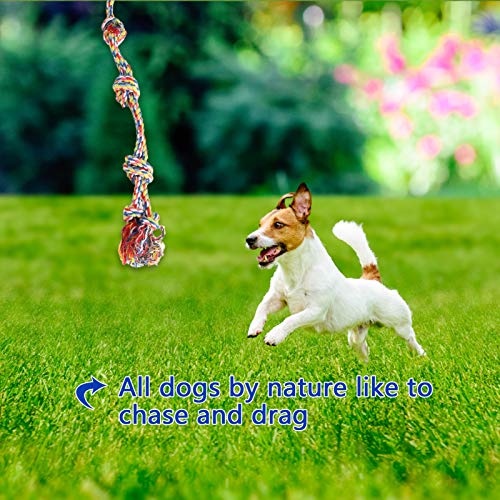 Washranp Juguete De Señuelo para Ligar para Perros, 1,7 M, Varita De Juguete para Perros, Juguete Interactivo para Entrenamiento Al Aire Libre para Mascotas