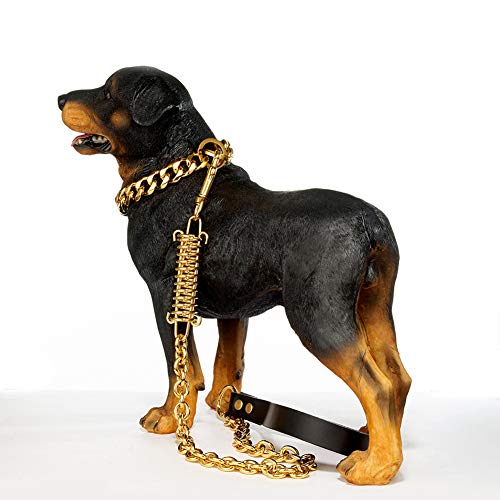 WELBLQ O-Wort - Correa para perro de acero inoxidable, con tope de muelle, color dorado