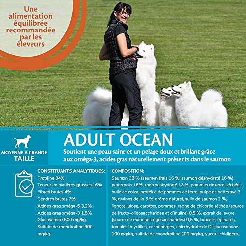 Wellness CORE Ocean Dog Food Dry Grain Free - Salmón y atún, 10 kg