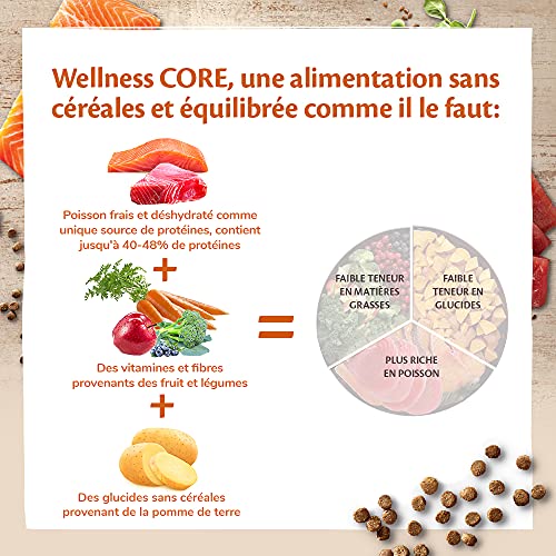 Wellness CORE - Salmón esterilizado para Comida de Gato sin Grano seco, 1,75 kg