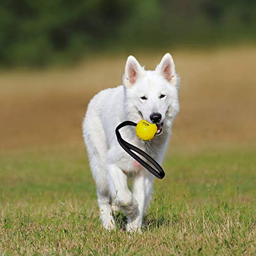 WEPO Juguete para perros, pelota con cuerda de caucho natural, para cachorros, pelota de lanzamiento para perros, pelota con cuerda/cuerda, color amarillo