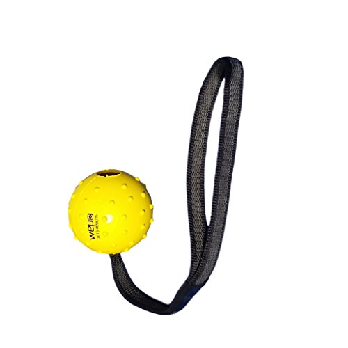 WEPO Juguete para perros, pelota con cuerda de caucho natural, para cachorros, pelota de lanzamiento para perros, pelota con cuerda/cuerda, color amarillo