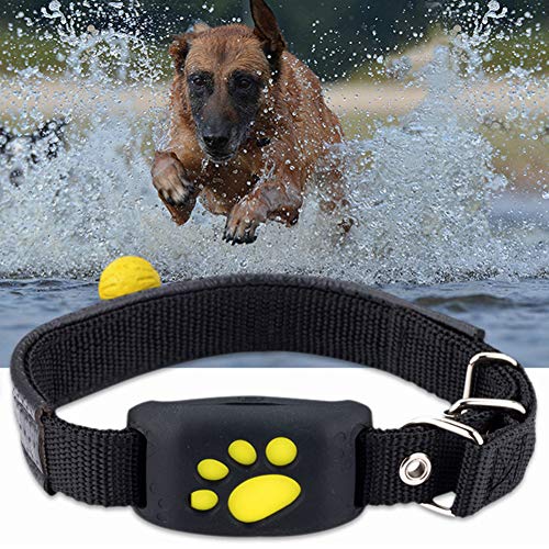 WFGF Rastreador de Mascotas - Collar Inteligente para Perros y Gatos con GPS - Cerca inalámbrica Collar para Perros y Gatos con GPS Control Remoto Impermeable Recargable con 2 Bolas de Arco Iris