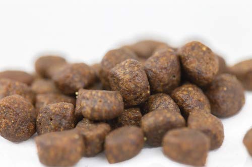 Wildfang alimento seco para Perros 6 kg I Alimento Libre de Cereales - Pollo con Pavo, salmón y Verduras I Comida Cachorros y Perros jóvenes I Alimento para Perros SIN aditivos Artificiales