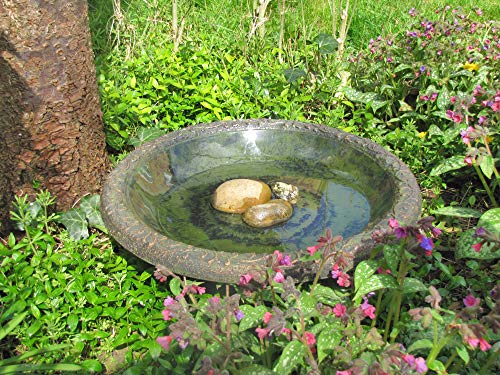 Wildlife World Bird Bath Nuevo diseño Coniston baño para pájaros (Tallo Giratorio), Verde