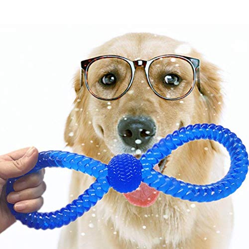 WOOAI Chew Toy TPR Pet Moist-Resistente a los molares Juguete para Perros Juguetes interactivos de Entrenamiento para Perros pequeños/Grandes Gatos Limpieza Dental, l, M