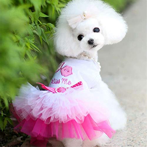 WPCASE Ropa Perros Vestido Lindo Perro Vestido De Princesa para Perros Verano para Mascotas Ropa Hermosa Mascotas Bowknot Elegante Sin Mangas del Perrito De La Falda Pink,L