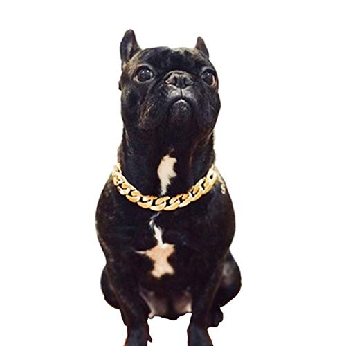 XIAOLANMEI Collar Perro pequeño Pet Perro CAGA CAGA Collar por Puppy COLLARE Personalizado Bulldogs Bully Cadena de Oro Potente plástico Ajuste para Perros Joyas Accesorios para Mascotas