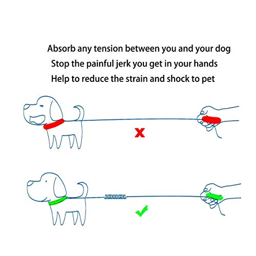 Yangbaga Correas para Mascotas Correas Elastic Stretch Nylon Leash Ideal para Caminar, Correr para Perros Pequeños a Cachorro (Verda)