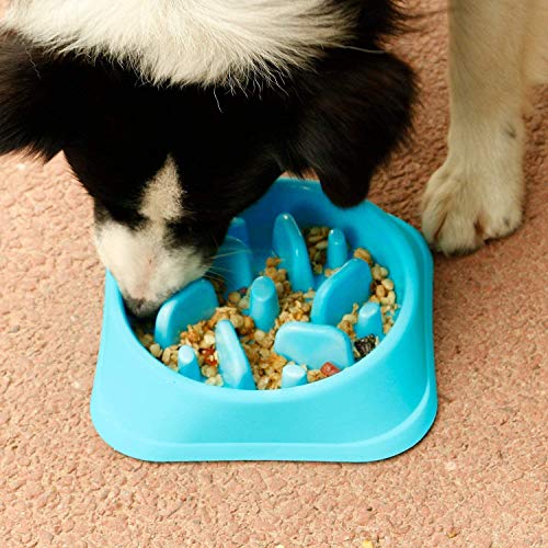 YFOX Tazón de alimentación Lenta para Perros y Gatos, Antideslizante, Materiales ecológicos, ralentizar la Ingesta de Alimentos, alimentador Lento para Mascotas 18.5x45cm (Azul)