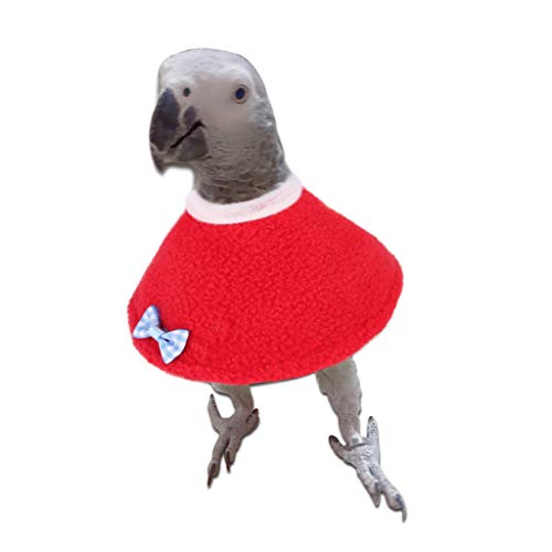 YO-HAPPY Capa de pájaro Protección de Loro Cono Cuello Collar de recuperación Aves Collar isabelino