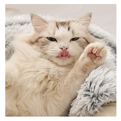 Yoole EU Cama para gatos con capucha y donut de felpa para mascotas, sofá de piel sintética, suave y esponjosa para gatitos y cachorros pequeños (65 cm, gris-B)