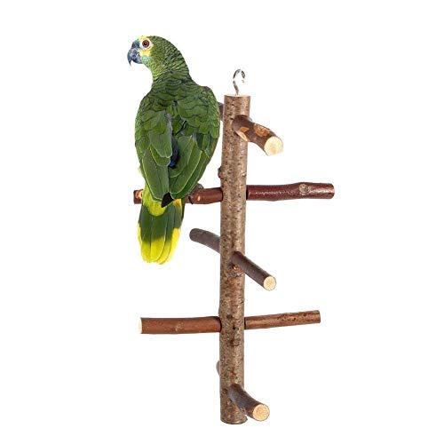 Yosoo Parrot Pájaros Perchas,Paw Grinding Juguetes Cage Stand Juguetes Colgantes,Ramas De Actividad De Madera Escalada Escaleras para Budgies Canarias Cockatiels Cockatoo Parakeet