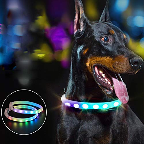 Yourenyuan Collar para Mascotas LED, Collares Luminosos para Perros Collares para Perros Collares Luminosos para Mascotas Collares para Mascotas
