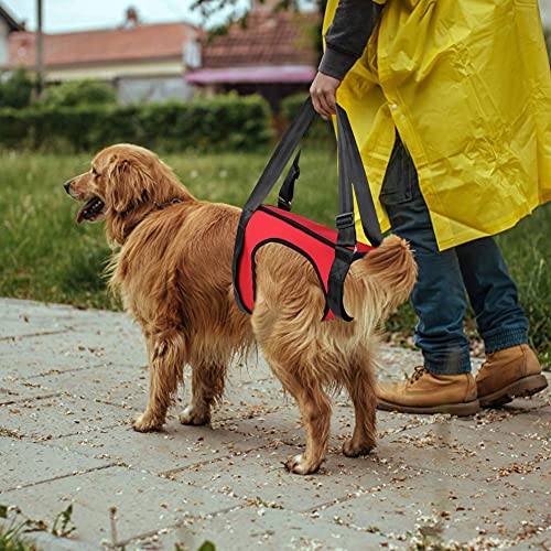 YOUTHINK Arnés de Soporte para Perros Ayuda para Caminar para Mascotas Chaleco de elevación para Perros Viejos y heridospata Trasera L