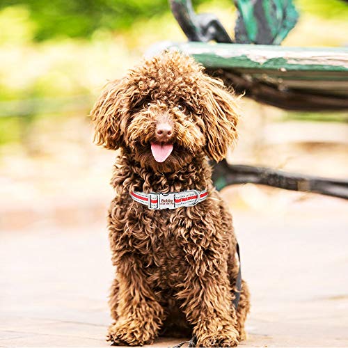 YUEHAN Collar De Perro Collar De Perro Personalizado De Nailon Reflectante Nombre De Cachorro Pequeño Y Grande Accesorios para Mascotas Duraderos De Metal Grabado Gratis   Etiquetas para Perros