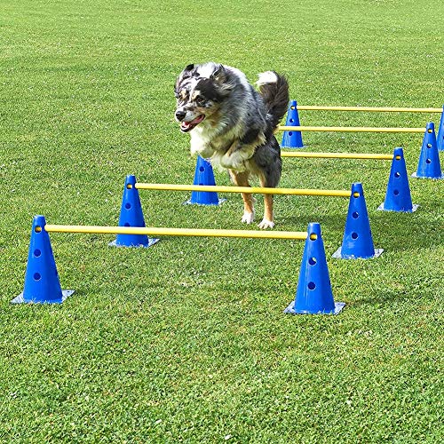 Yunjie Set de 5 Conos Entrenamiento Futbol Vallas de Obstáculos Agility Perros incluir 10 Conos y 5 Palos, para Deportes Fútbol y Entrenamiento del Perro,Azul