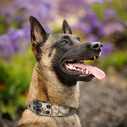 YXDZ Nailon Suave Collar De Perro Militar Collares para Caminar Al Aire Libre Entrenamiento, Perro Collar Durable con Recubrimiento para Perro Pastor Alemán