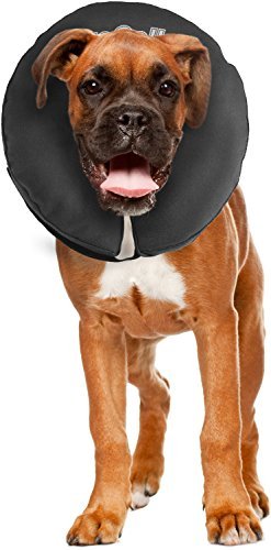 ZenPet Pro Collar Comfy Pet E-Collar For Dogs Large