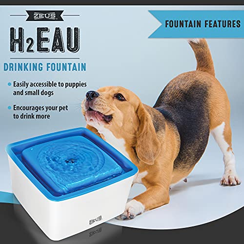 Zeus Dog Mini Fuente de Agua para Perros pequeños y Cachorros, 1,5 L