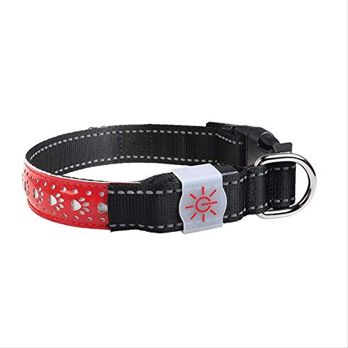 ZGRZ Perros Collar Perro Collar Reflectante para Perros Anillo Reflectante Anillo USB Cargando Tres Modos De Emisión De Luz Cuello 38-60Cm